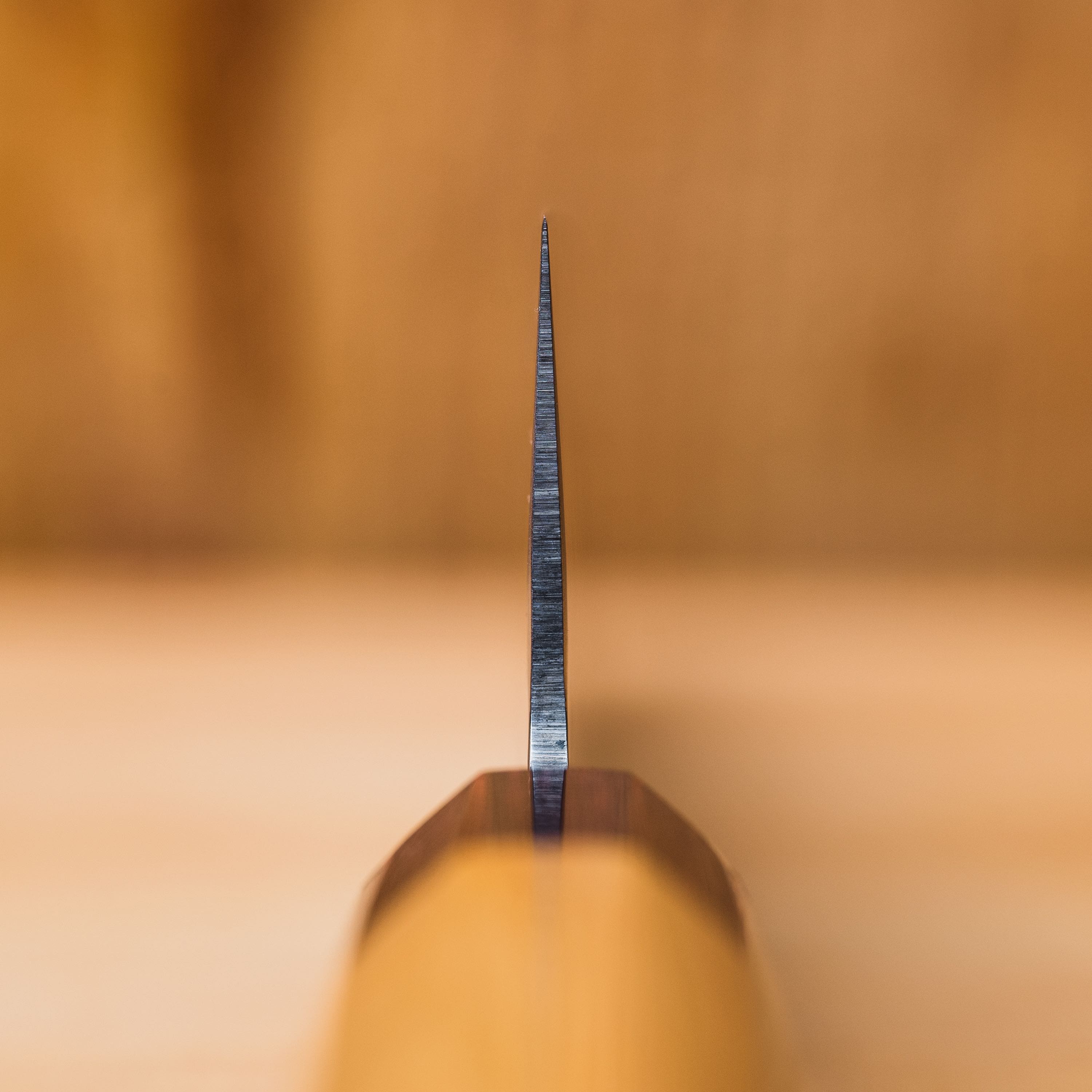 Sakai Takayuki 33 Layer Damascus Gyutou 210mm (8.2