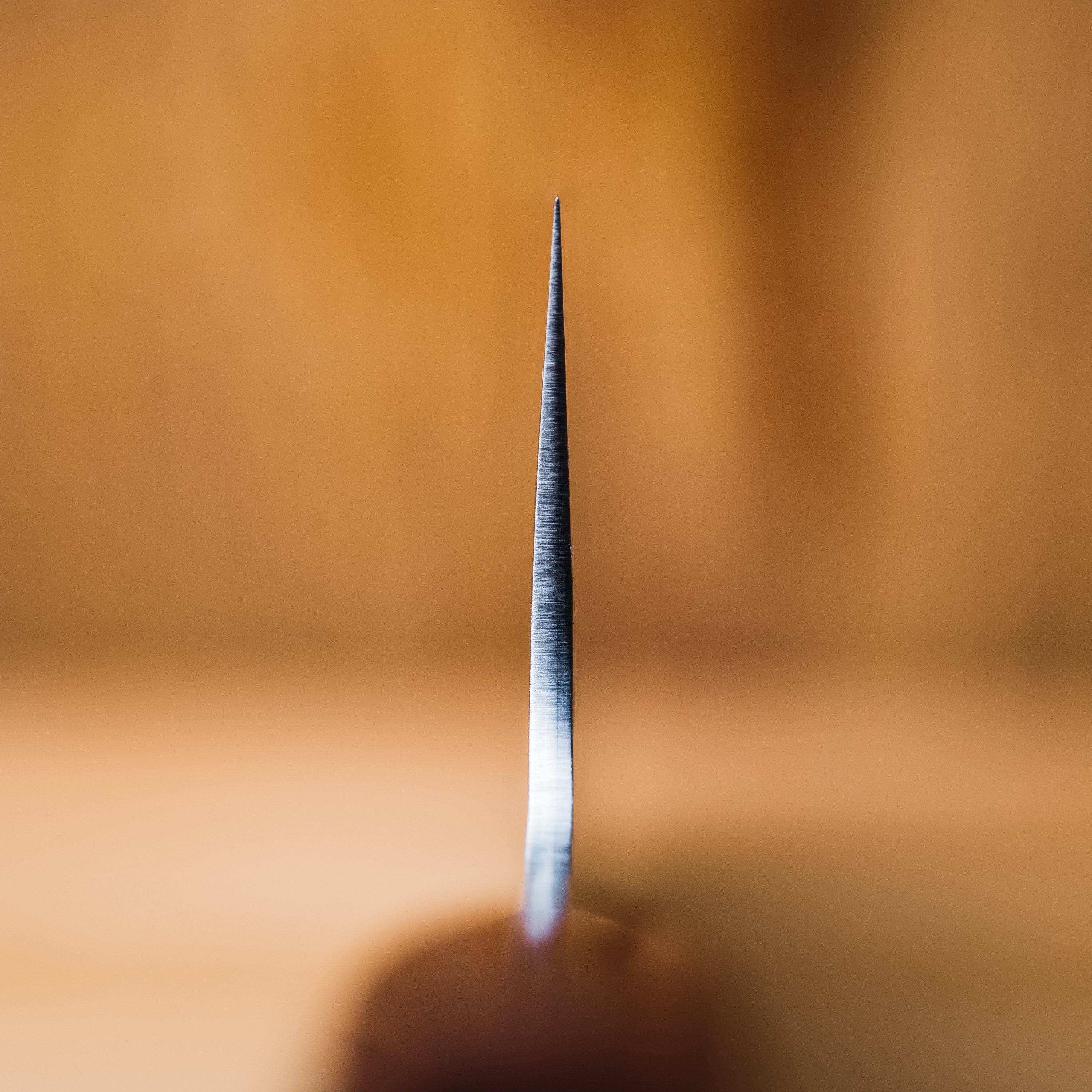 Sakai Takayuki 33 Layer Damascus Santoku 180mm (7.1