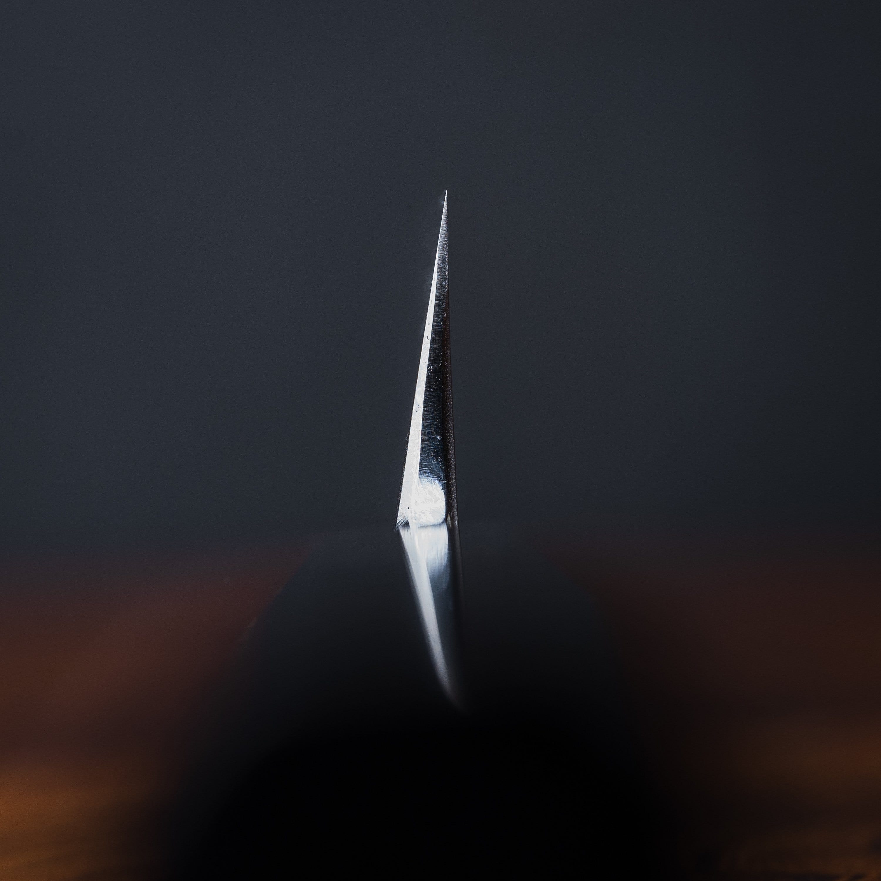 Sakai Takayuki Blue Steel Honyaki Yanagi 300mm (11.8