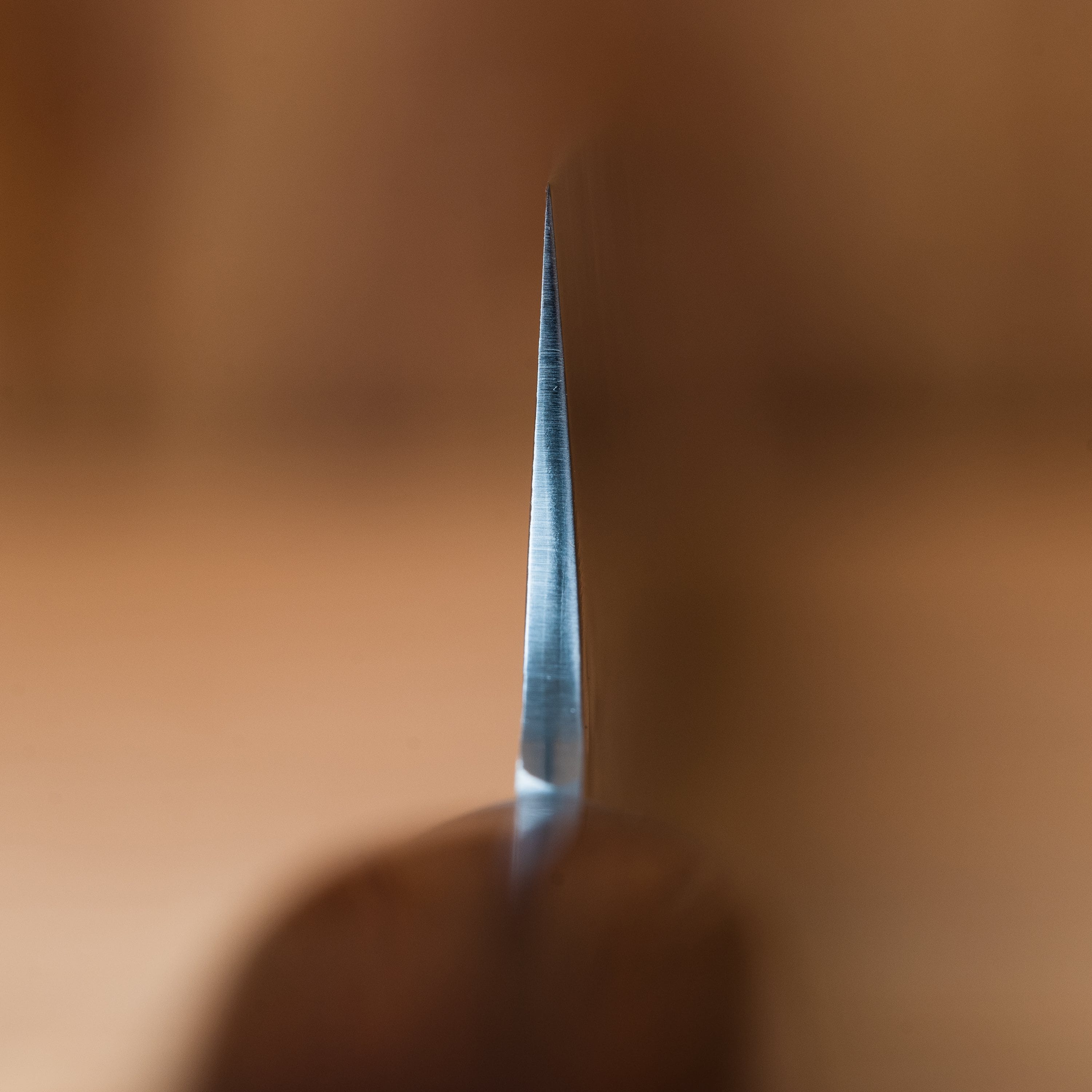 sak-33s240-choil.jpg?v=1631255696