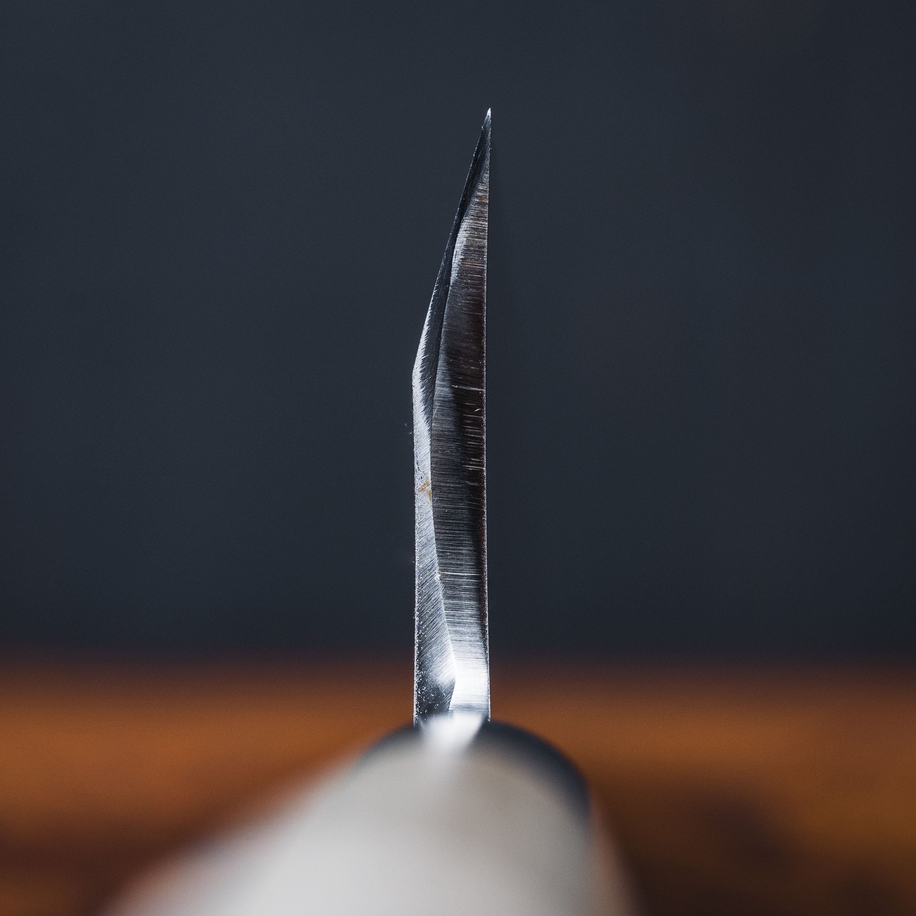Sakai Takayuki White #2 Garasuki 180mm (7.1
