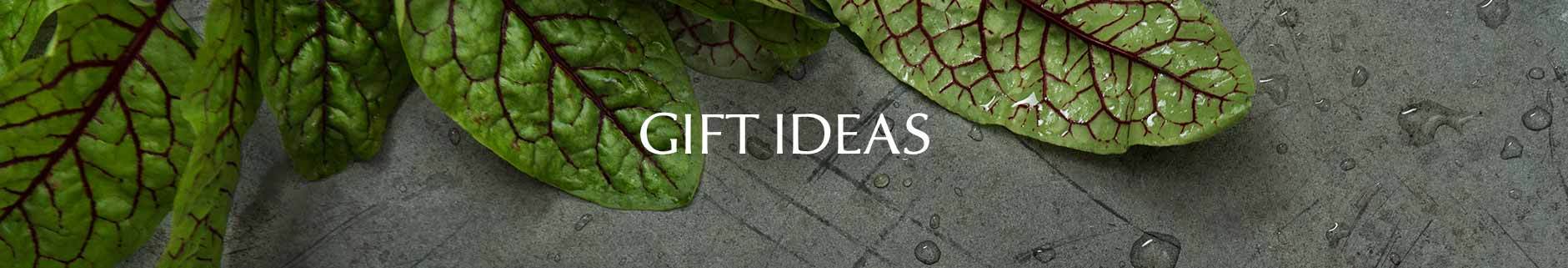 Gifts for Everyone on your List