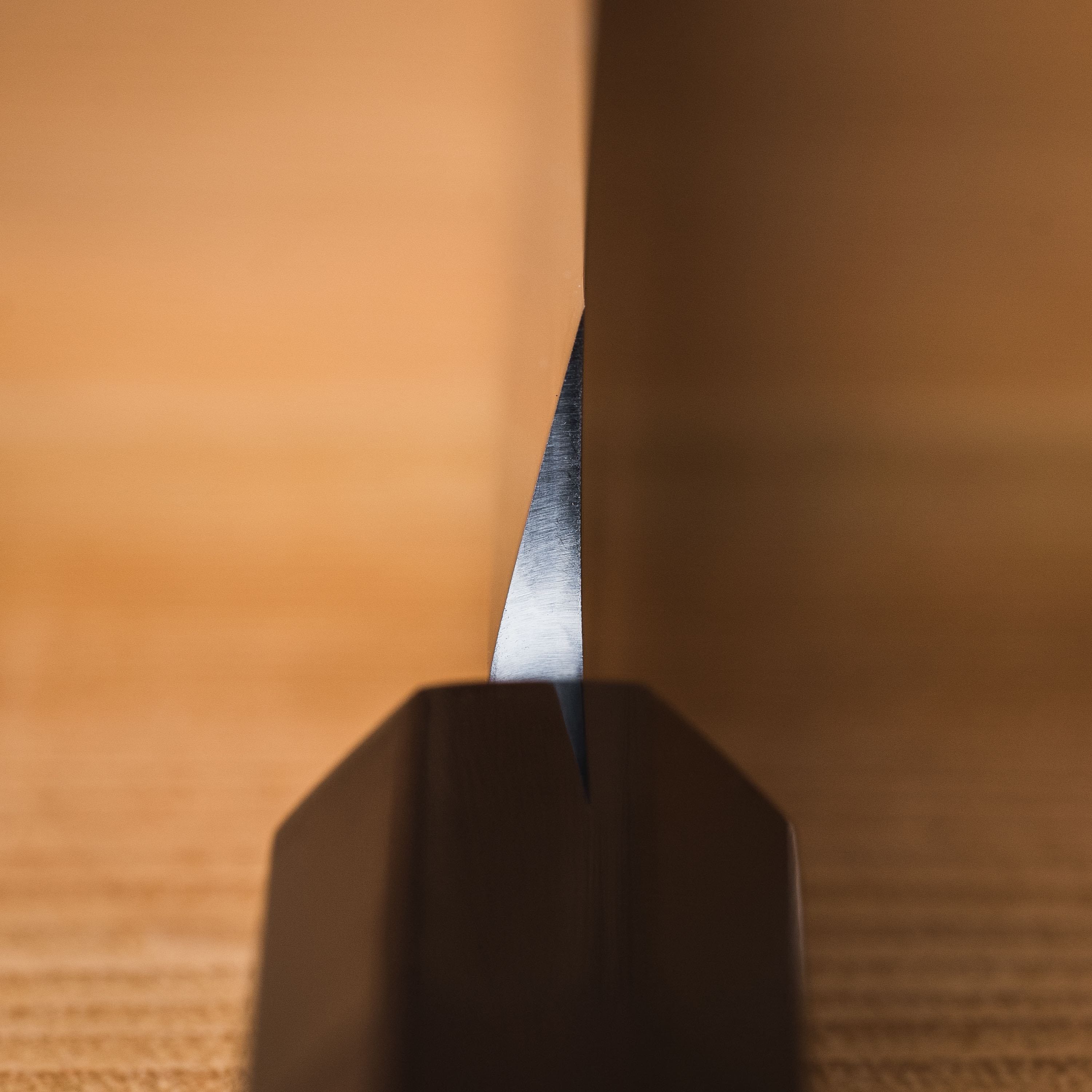 Sakai Takayuki Byakko Sakimaru Takobiki 300mm (11.7
